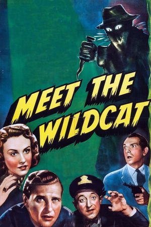Meet the Wildcat's poster