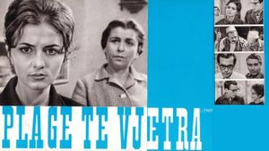 Plagë të vjetra's poster