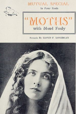 Moths's poster