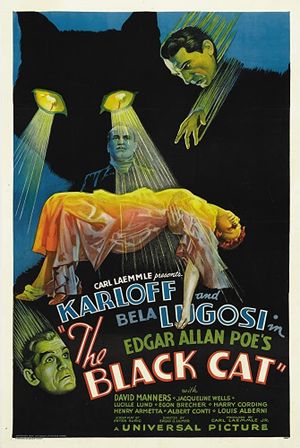 The Black Cat's poster