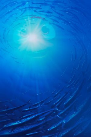 Finding Nemo's poster