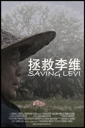 Saving Levi's poster