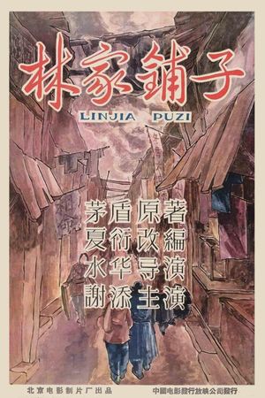 The Lin Family Shop's poster