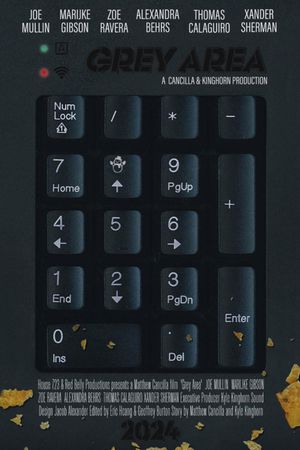 Grey Area's poster