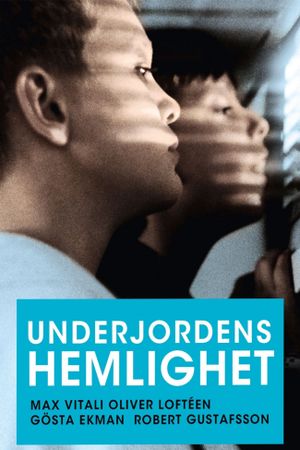 Underground Secrets's poster
