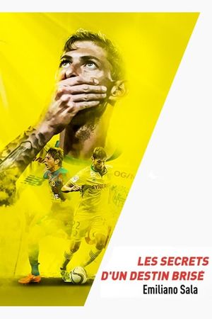 Emiliano Sala, les secrets d'un destin brisé's poster