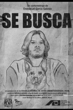 Wanted's poster