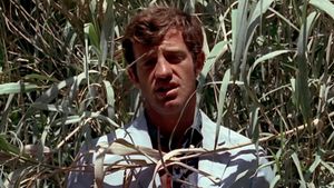 Pierrot le Fou's poster