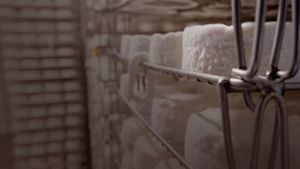 Le camembert nous ouvre sa boîte's poster