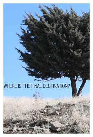 Where is the Final Destination?'s poster
