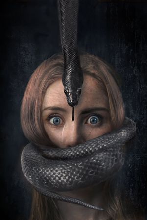 Serpent's poster