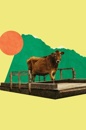 First Cow's poster