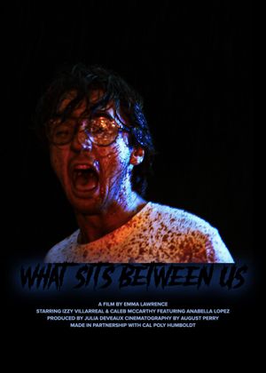 What Sits Between Us's poster