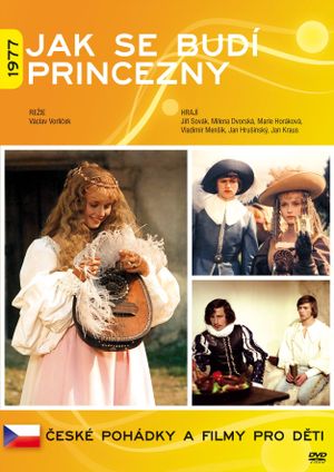 How to Wake a Princess's poster