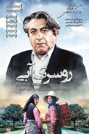 The Blue-Veiled's poster