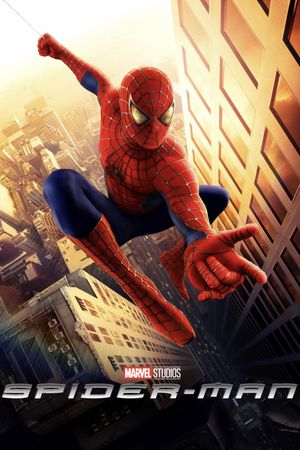 Spider-Man's poster