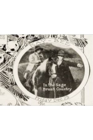In the Sage Brush Country's poster