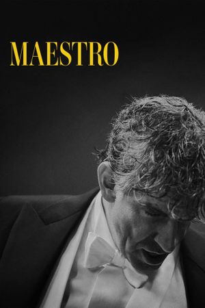 Maestro's poster
