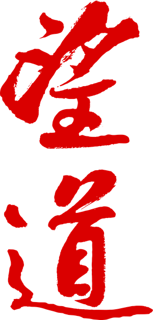 Manifesto's poster
