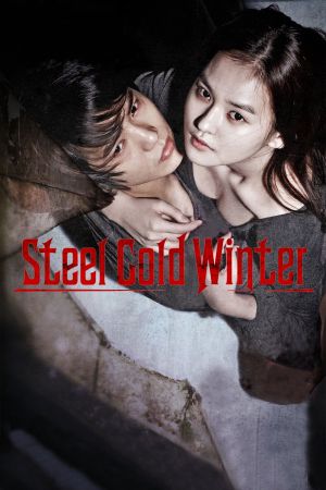 Steel Cold Winter's poster