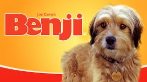 Benji's poster