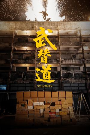 Stuntman's poster