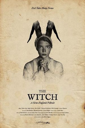 The Witch's poster