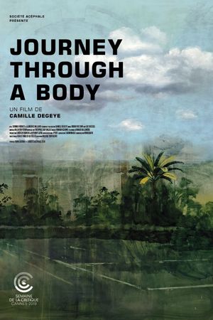 Journey Through a Body's poster