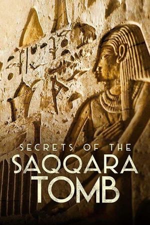 Secrets of the Saqqara Tomb's poster