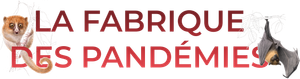 La fabrique des pandémies's poster