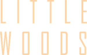 Little Woods's poster