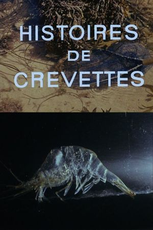 Shrimp Stories's poster