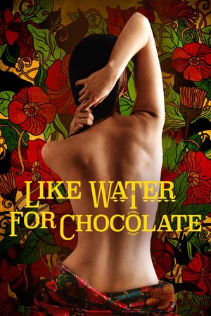 Like Water for Chocolate's poster