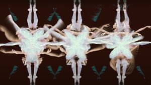 Cygnes's poster