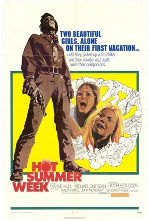 Girls on the Road's poster