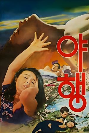 Night Journey's poster