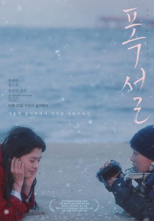 Heavy Snow's poster