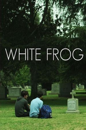 White Frog's poster