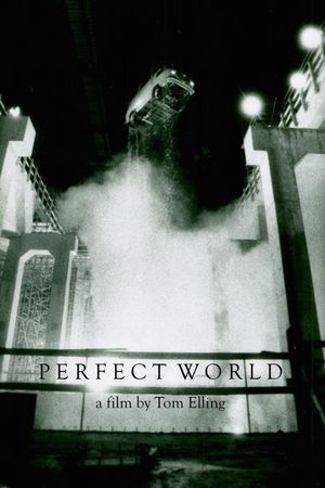 Perfect World's poster image