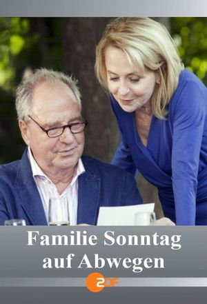 Familie Sonntag auf Abwegen's poster