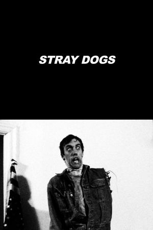 Stray Dogs's poster