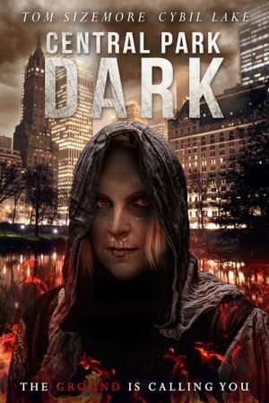 Central Park Dark's poster