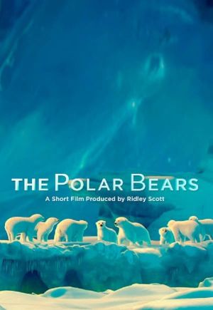 The Polar Bears's poster