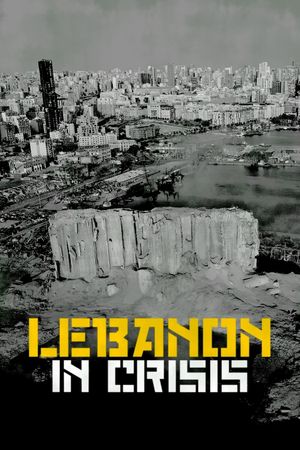 Lebanon in Crisis's poster