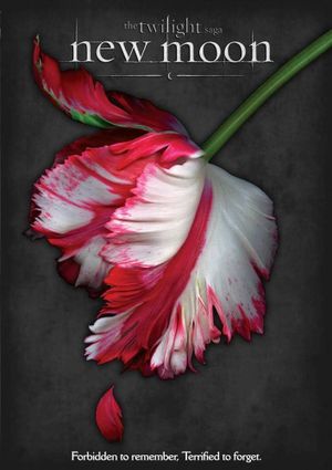 The Twilight Saga: New Moon's poster