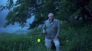 Attenborough's Life That Glows's poster