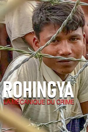 Rohingya, la mécanique du crime's poster