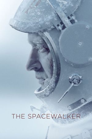 Spacewalk's poster