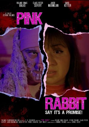 Pink Rabbit's poster