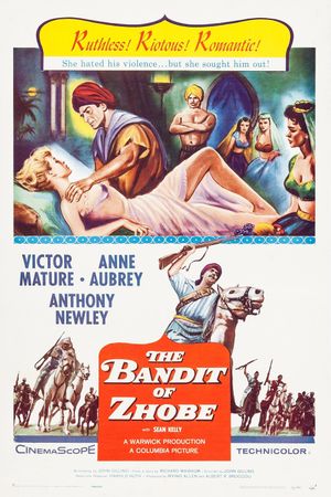 The Bandit of Zhobe's poster